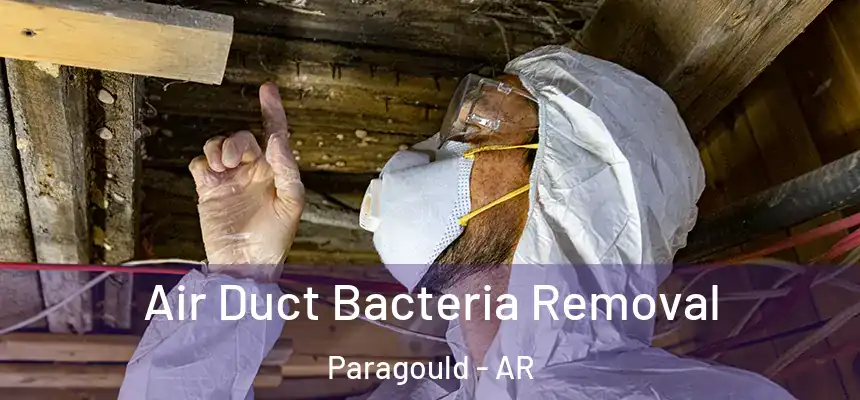  Air Duct Bacteria Removal Paragould - AR