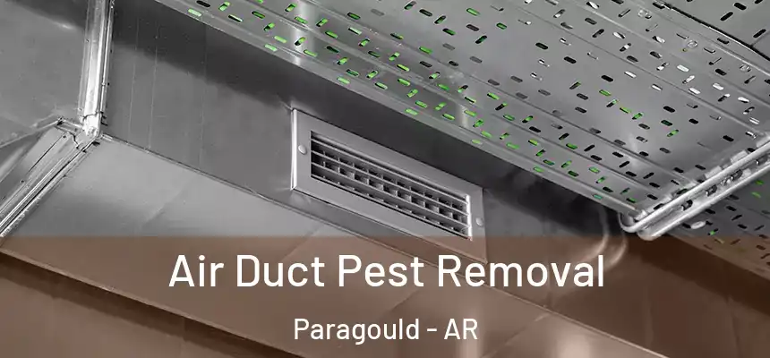 Air Duct Pest Removal Paragould - AR