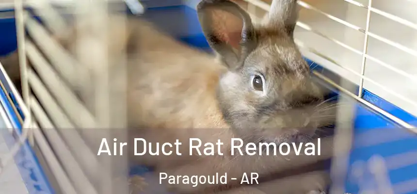 Air Duct Rat Removal Paragould - AR