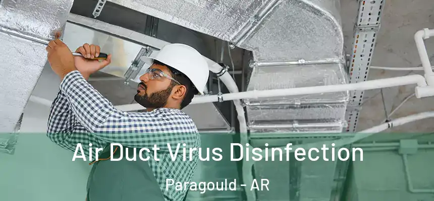  Air Duct Virus Disinfection Paragould - AR