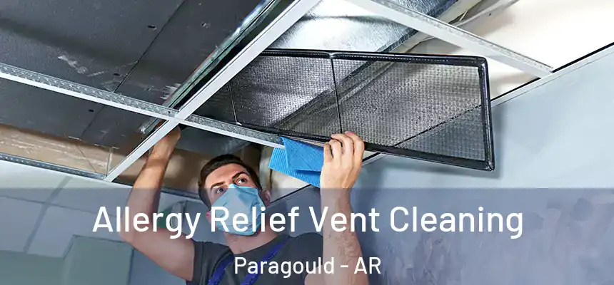 Allergy Relief Vent Cleaning Paragould - AR