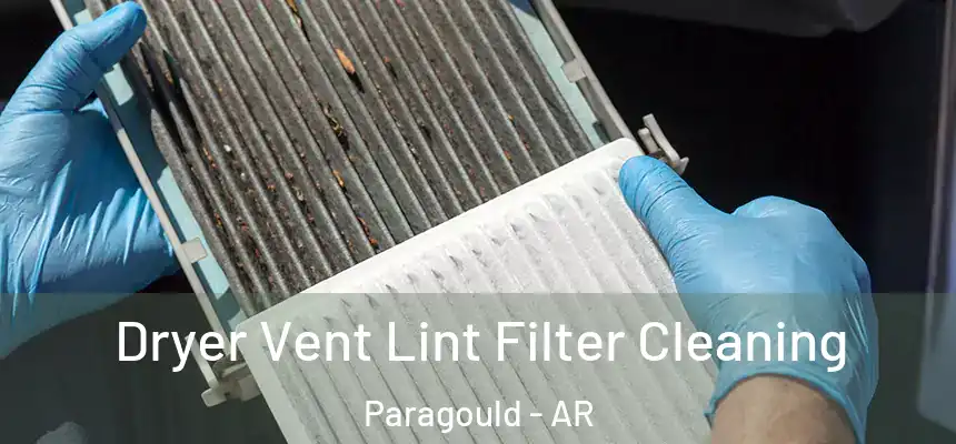 Dryer Vent Lint Filter Cleaning Paragould - AR