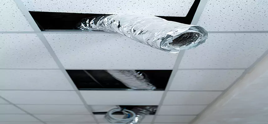 Affordable HVAC Sanitizing After Pest Removal in Paragould