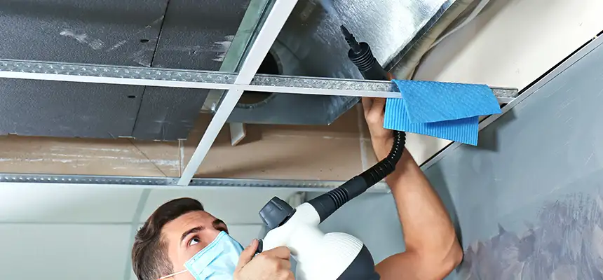 Our Air Duct Rodent Removal Services in Paragould, AR