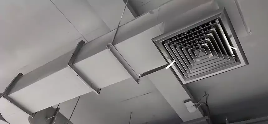 Restorative Allergy Relief Vent Cleaning – Coil, Blower & Housing Detail in Paragould