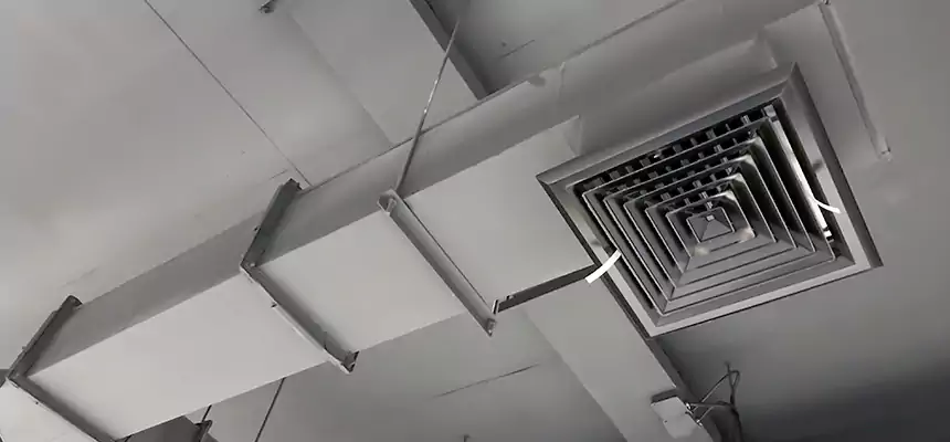 Our Rodent Droppings In Vents Services in Paragould, AR