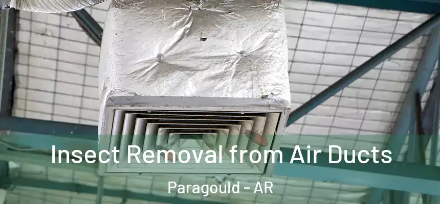 Insect Removal from Air Ducts Paragould - AR