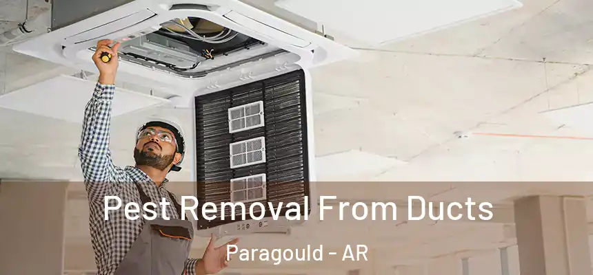 Pest Removal From Ducts Paragould - AR