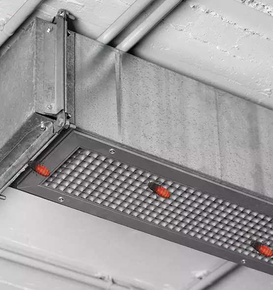About Air Duct Cockroach Removal in Paragould, AR