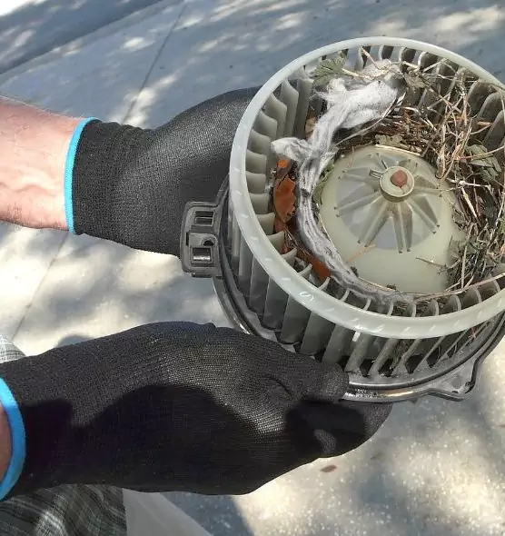 About Air Duct Rat Removal in Paragould, AR