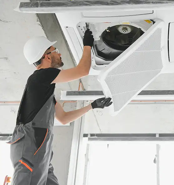 About Air Duct Rodent Removal in Paragould, AR